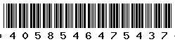 4058546475437