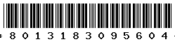 8013183095604