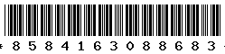 8584163088683