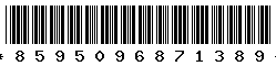 8595096871389