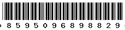 8595096898829