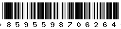 8595598706264