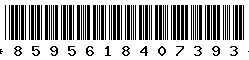 8595618407393